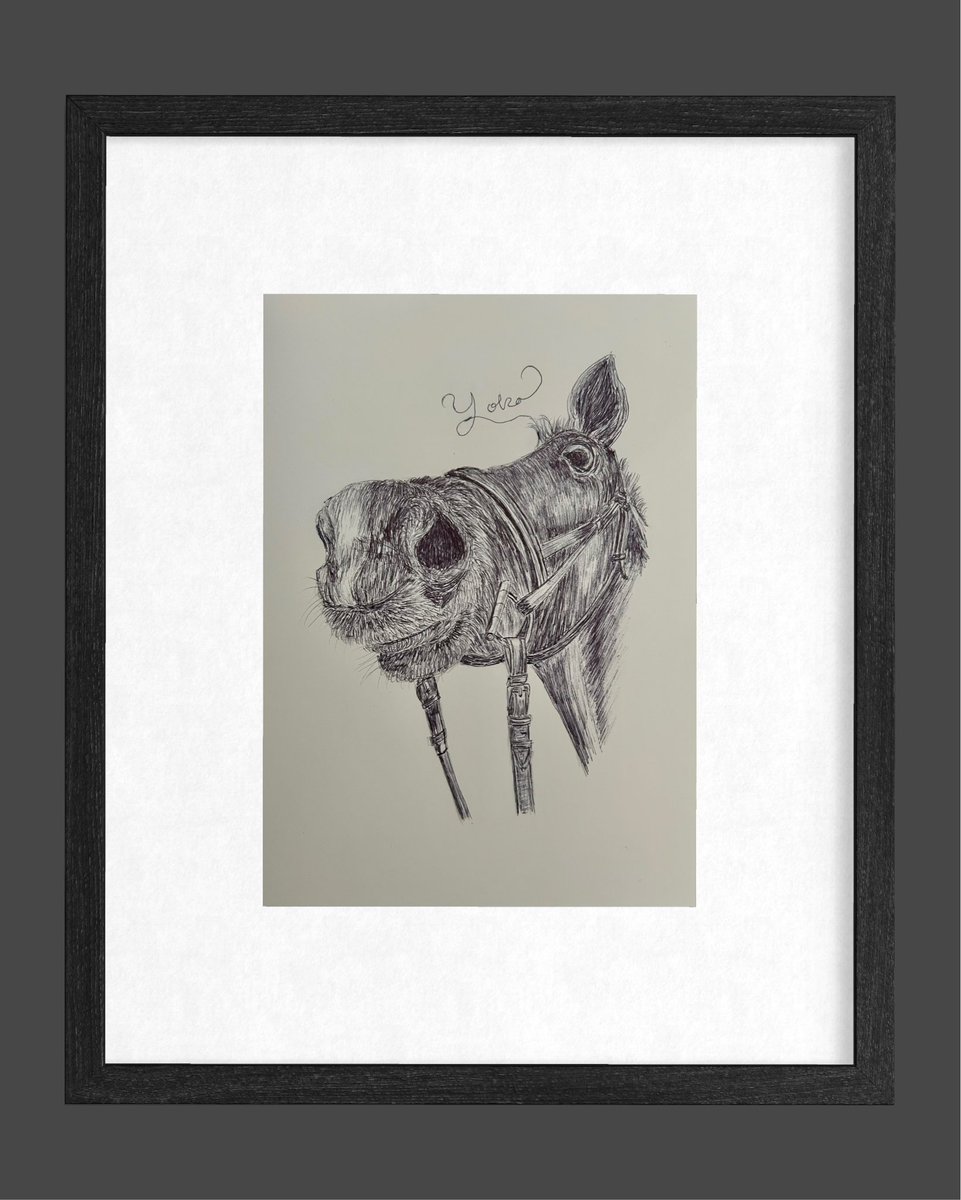 Ballpen Illustrator tweet media