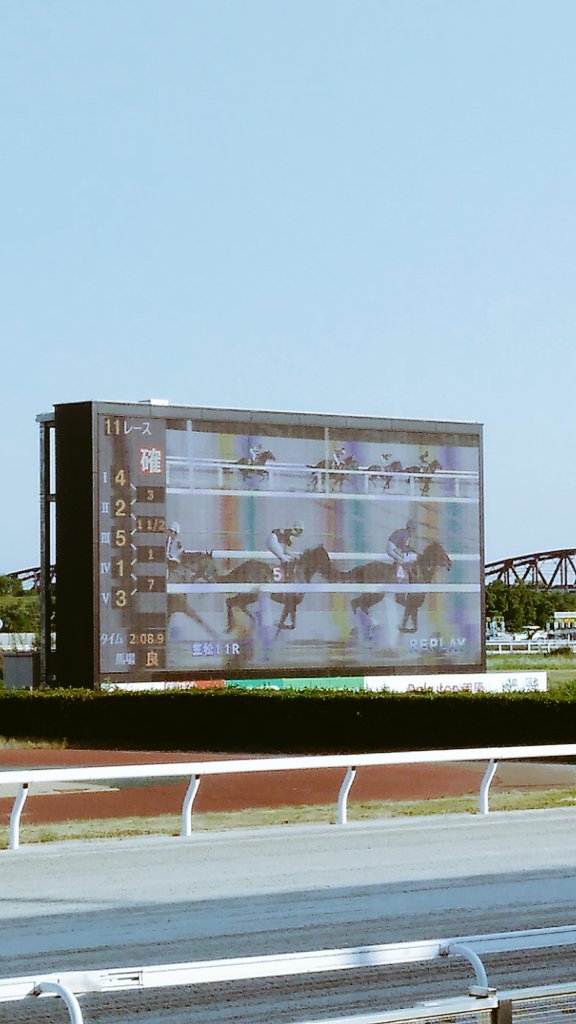 波平 tweet media