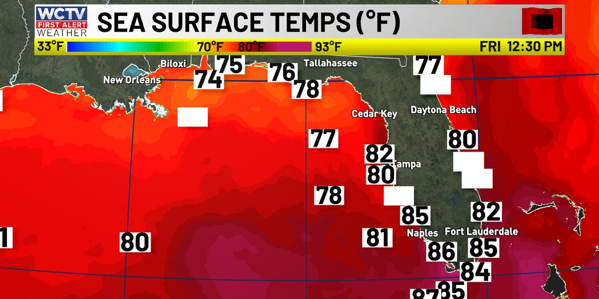 WCTV First Alert Weather tweet media