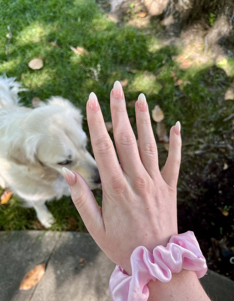 fen_vt's tweet photo. Guys look at my pretty pink nails 🌸🌸 https://t.co/RanOblKa0z