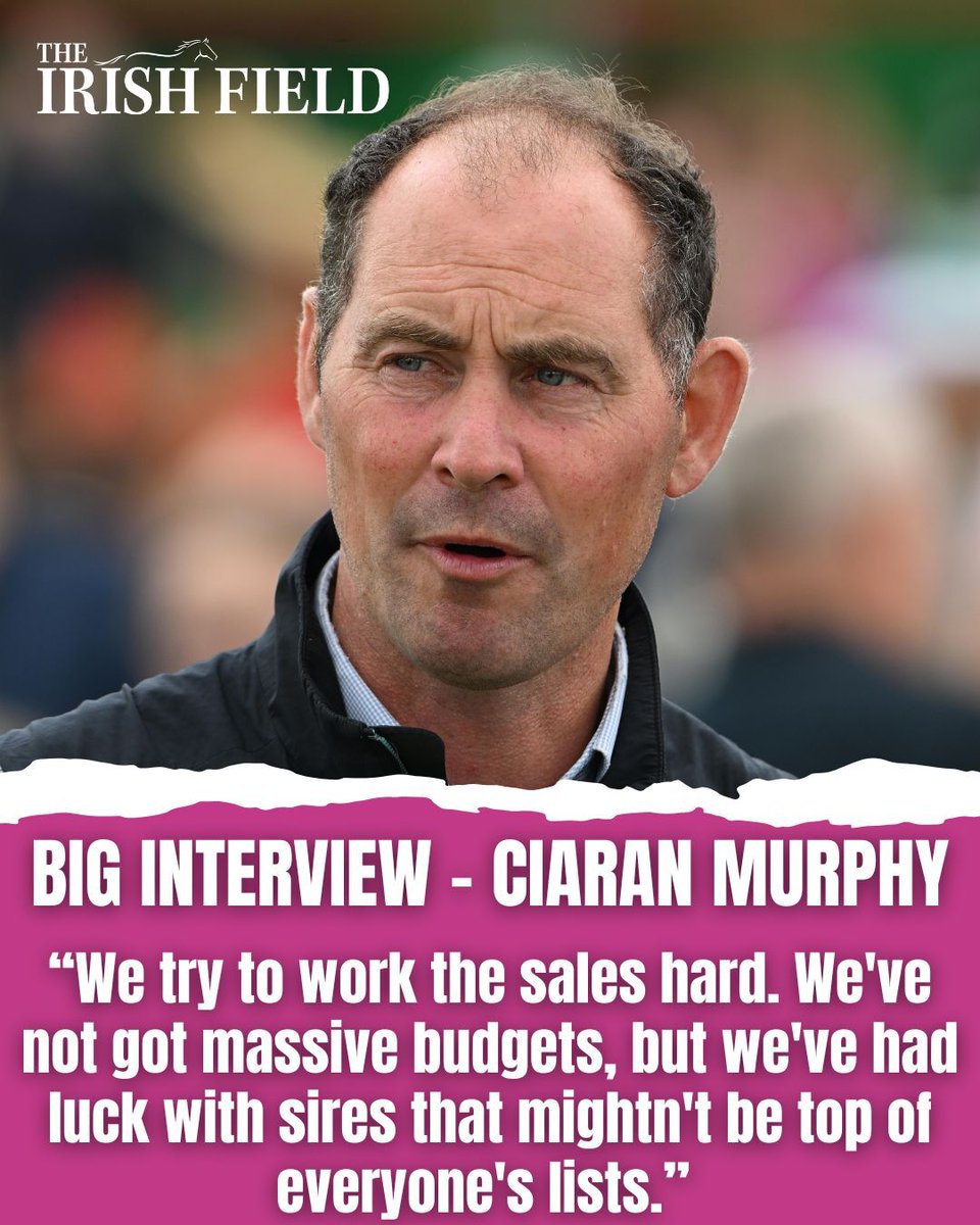 The Irish Field tweet media