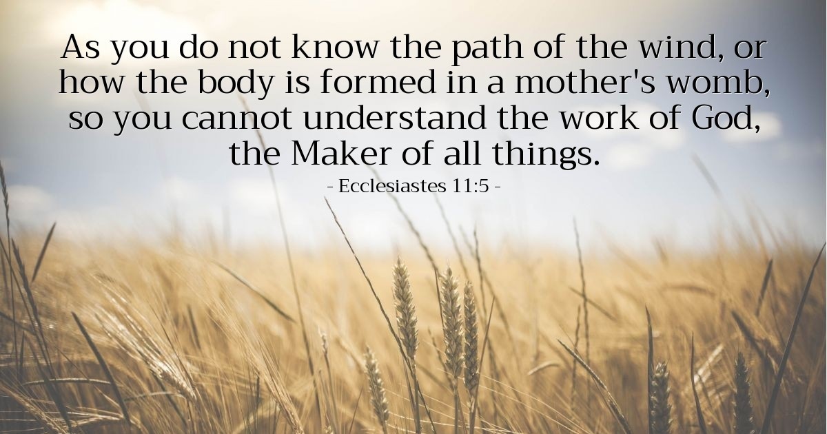Verse Of The Day tweet media