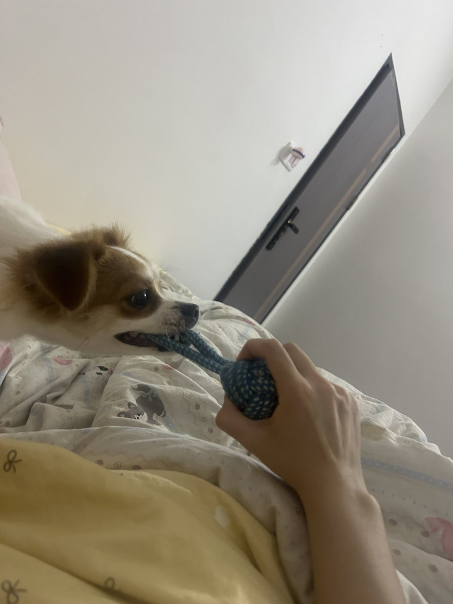 妻奴 tweet media