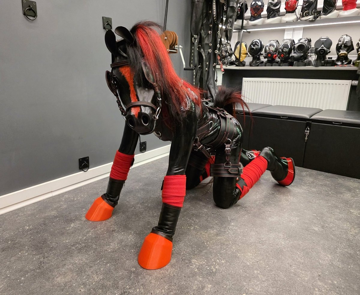 Equus Signum tweet media