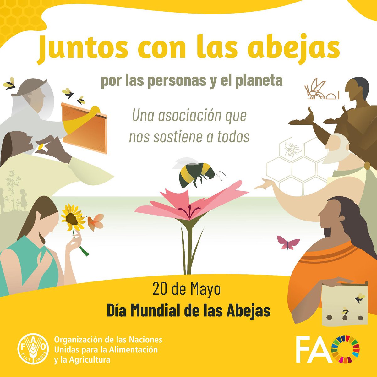 FAO en español tweet media