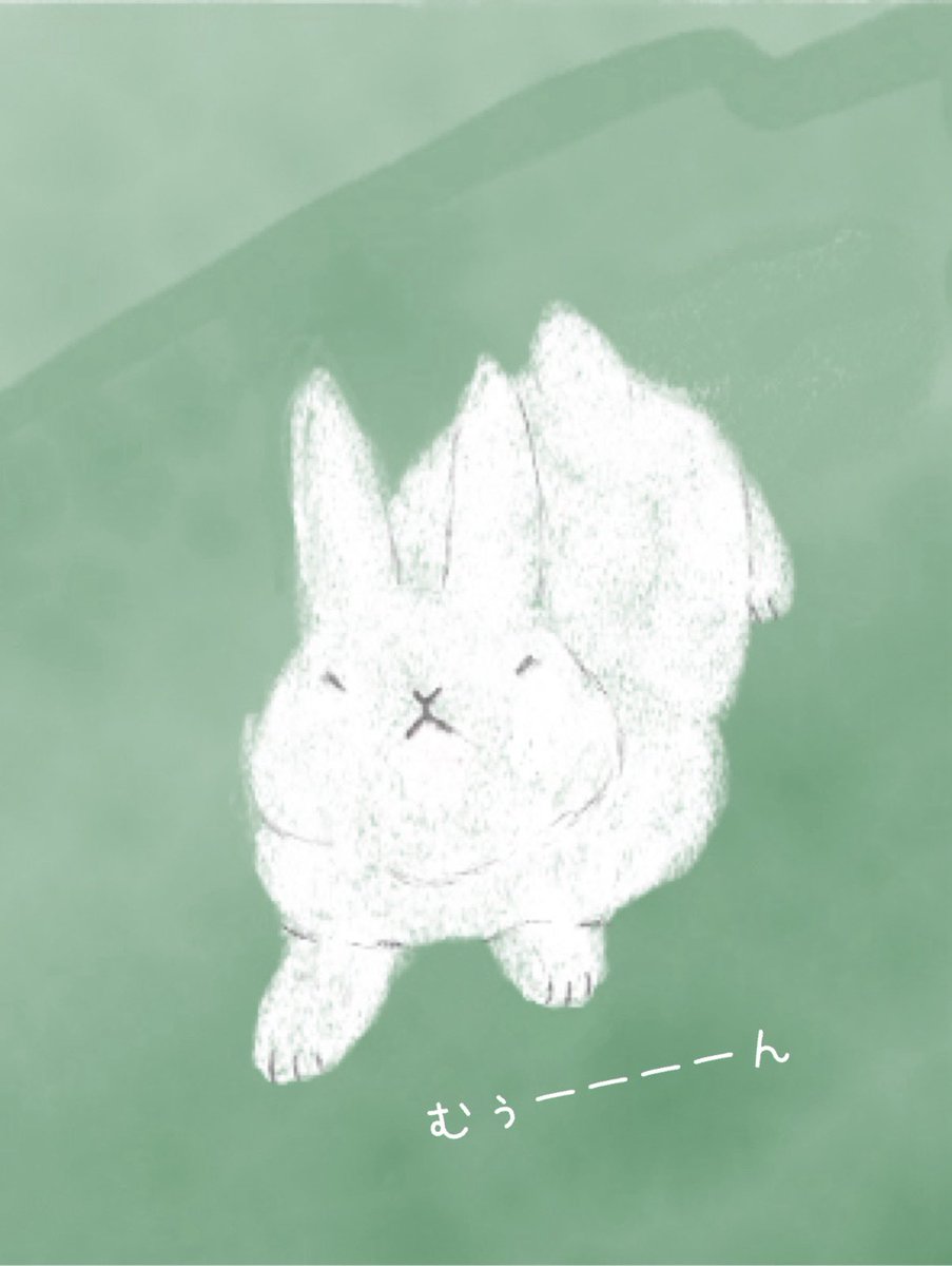 チロチョン tweet media