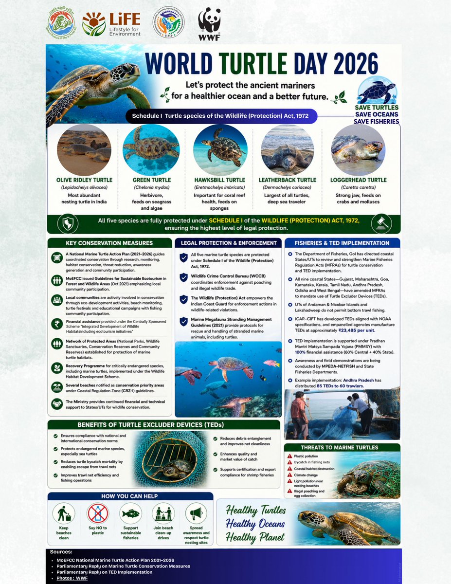 wwf_eiacp's tweet photo. 🐢🌊 World Turtle Day 2026 🌊🐢
Sea turtles are vital for healthy oceans. Let’s protect these amazing creatures by reducing plastic use, keeping beaches clean, and spreading awareness. 💙🌍
#WorldTurtleDay2026 #SaveTurtles #MarineConservation #ProtectOurOceans #SeaTurtles https://t.co/WuojVwsDmR