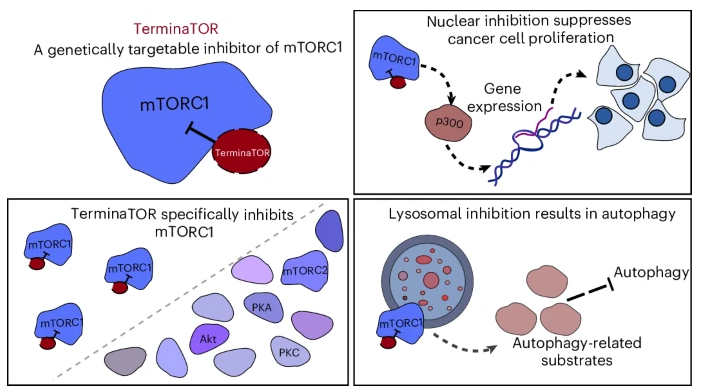 Nature Chemical Biology tweet media