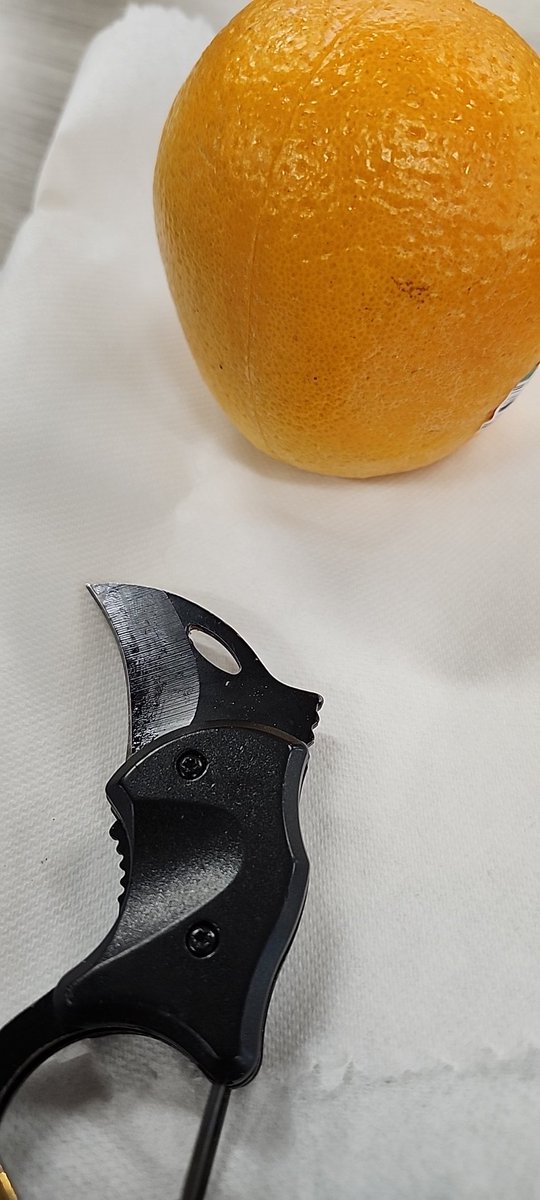 DvDebauchery's tweet photo. I peel my oranges with my gay little kurambit pocket knife so that when i finally do shank someone, i'll hit them wit the ~tangerine tingle~ 2d4 acid damage you hear me? https://t.co/x5umAw2l5V