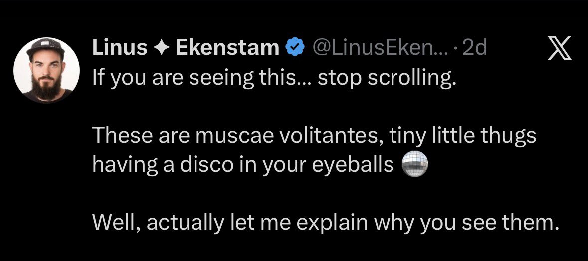 @LinusEkenstam hahaha https://t.co/uP9KPgENM0