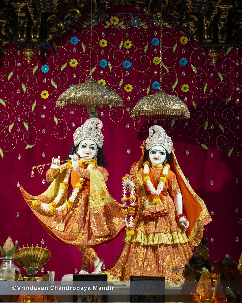 Vrindavan Chandrodaya Mandir tweet media