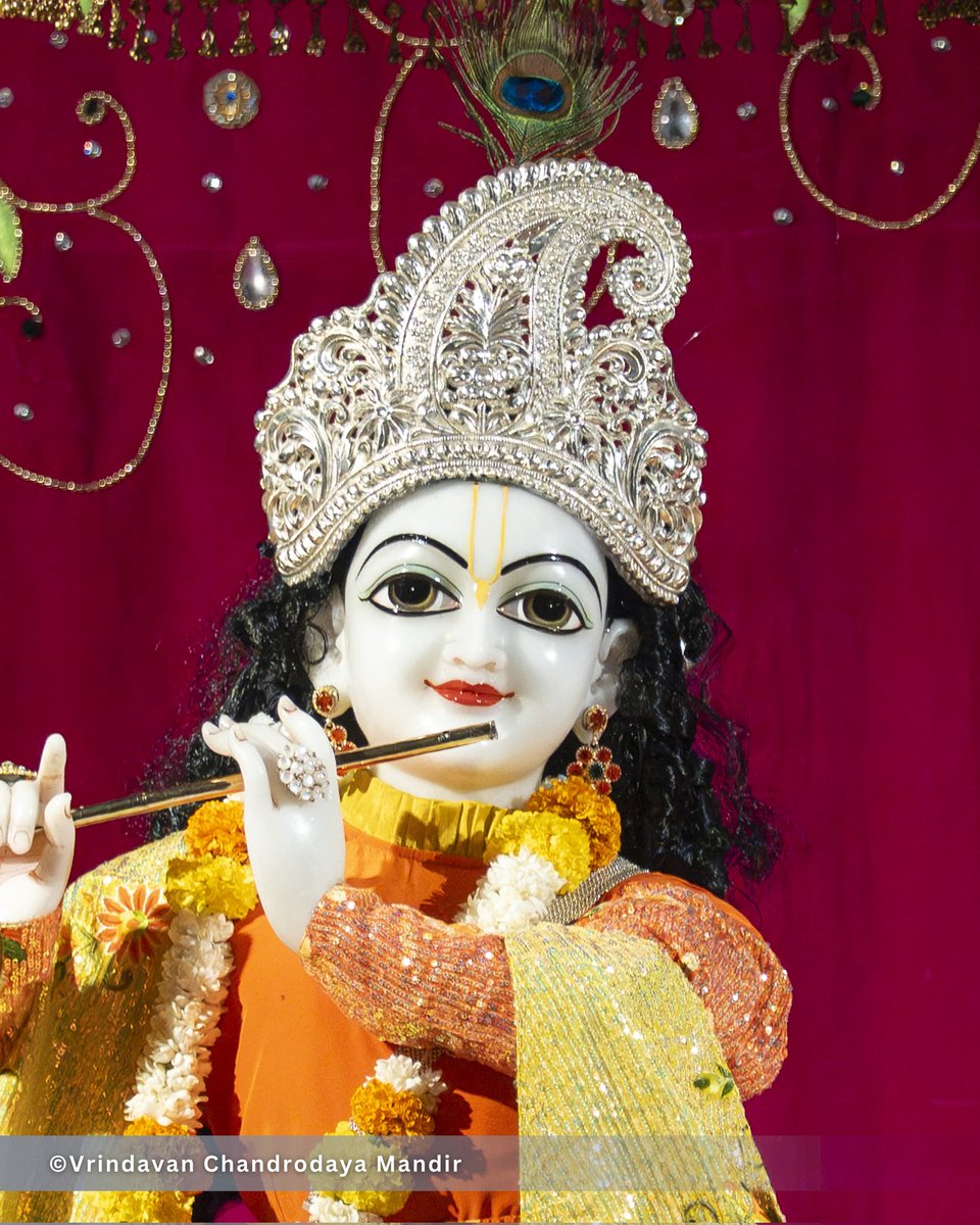 Vrindavan Chandrodaya Mandir tweet media