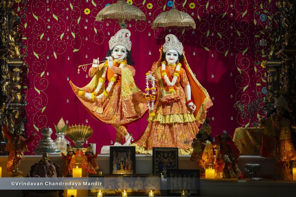 Vrindavan Chandrodaya Mandir tweet media