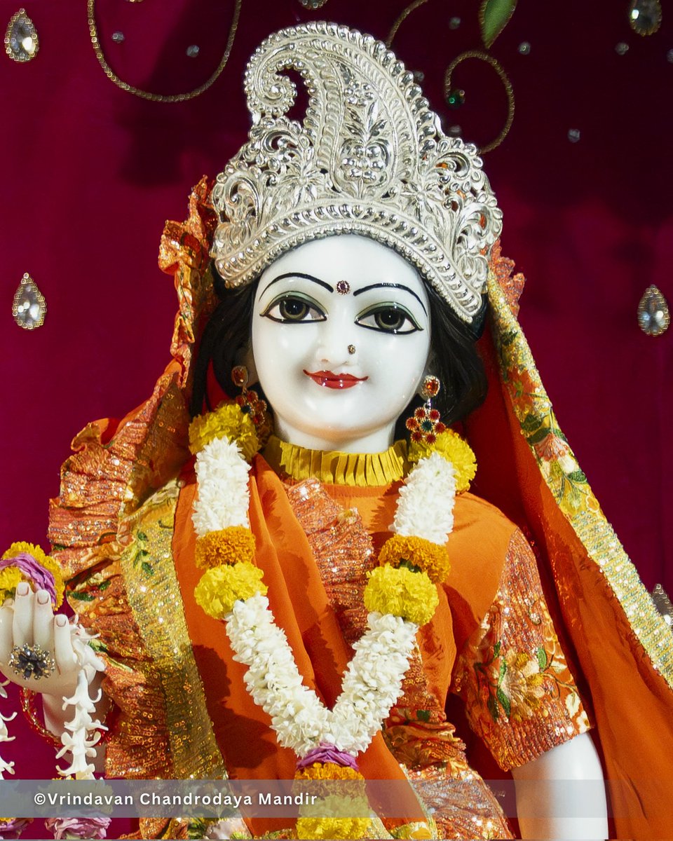 Vrindavan Chandrodaya Mandir tweet media