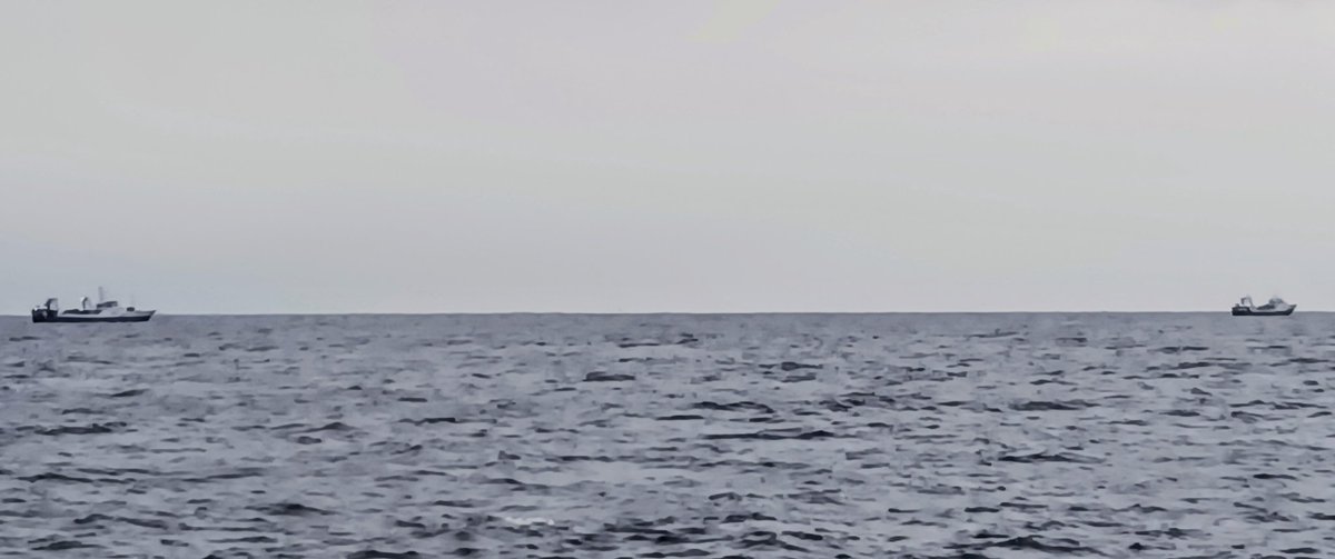 Falklands FishOps tweet media