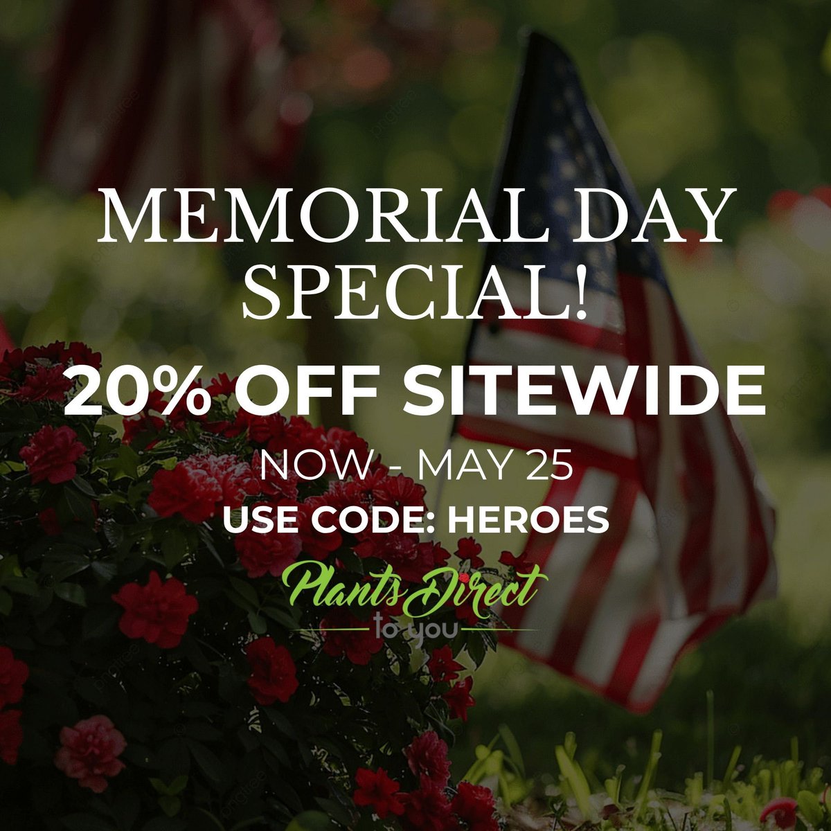 PlantsDirectTo's tweet photo. In remembrance and gratitude, we are offering 20% off site wide now through May 25th with code HEROES ❤️🤍💙

#memorialdaysale #plantsdirecttoyou #honorandremember https://t.co/2WR5aZQgbo