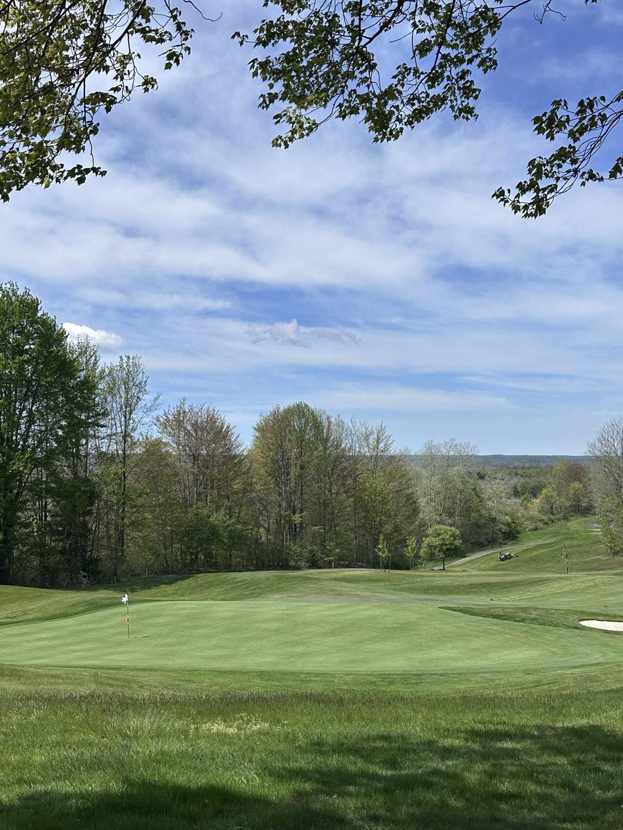 Buffalo Golf & Social tweet media