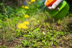 GO GREEN tweet media