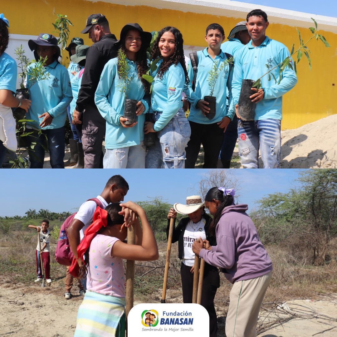 FundaBanasan's tweet photo. 🌱💙 Junto a la Alcaldía Zona Bananera, Fundación Grupo Agrovid, Asoriofrío y aliados, sembramos 150 árboles en el Colegio de Candelaria, fortaleciendo el compromiso con el medio ambiente y un futuro más sostenible para las nuevas generaciones. https://t.co/qHMMpzHdmq