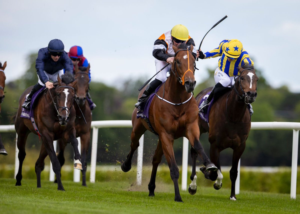 Leopardstown RC tweet media