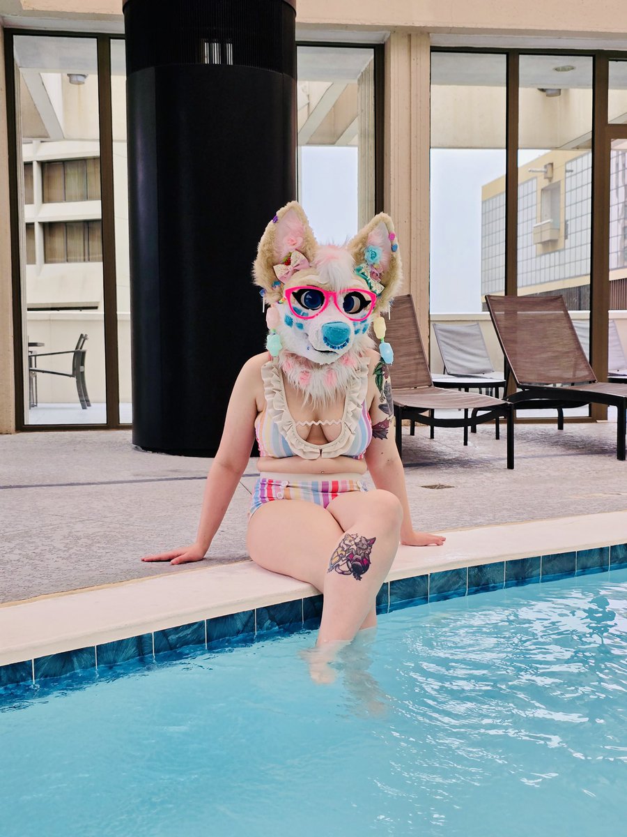 CorgiCc's tweet photo. Pretty puppy pool time! 💖🎉🙌 This was my first real opportunity to suit at a con pool and it was so much fun 💫 
{shout out to @NikkotheFoon for being my photographer 📸} 
#ccthecorgi #FWA #FWA2026 #furry #pool https://t.co/R5EMgxfDTO