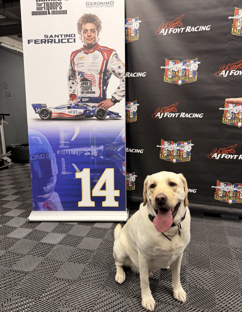 SantinoFerrucci's tweet photo. Everyone’s favorite team member has arrived🤩 https://t.co/E4UIvoPBnN