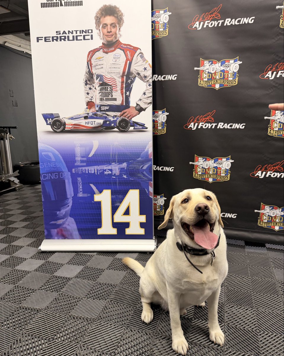 SantinoFerrucci's tweet photo. Everyone’s favorite team member has arrived🤩 https://t.co/E4UIvoPBnN