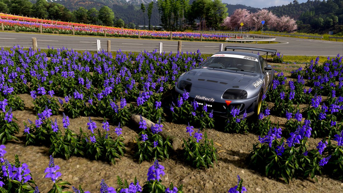 Rvrsfps's tweet photo. Yeah forza horizon 6 is amazing. https://t.co/vPLpRdzS6L