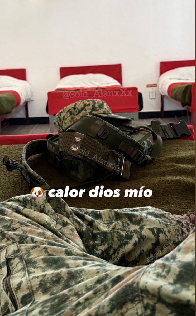 Sold Mex 🇲🇽 tweet media