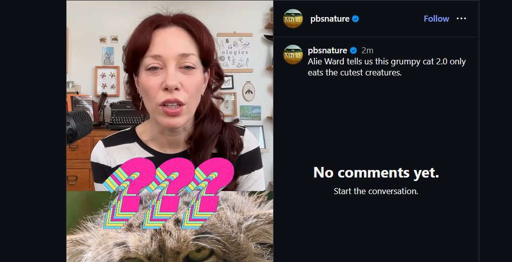 vibooor tweet media