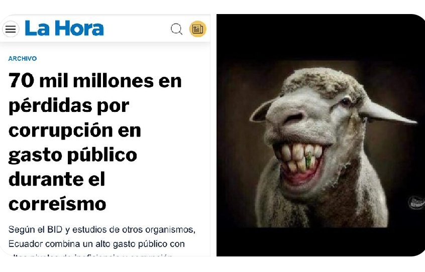 FRANCOTIRADOR 5-B #redDetuiterosdemocraticos tweet media