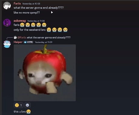 Catzai | ASHVENGER tweet media