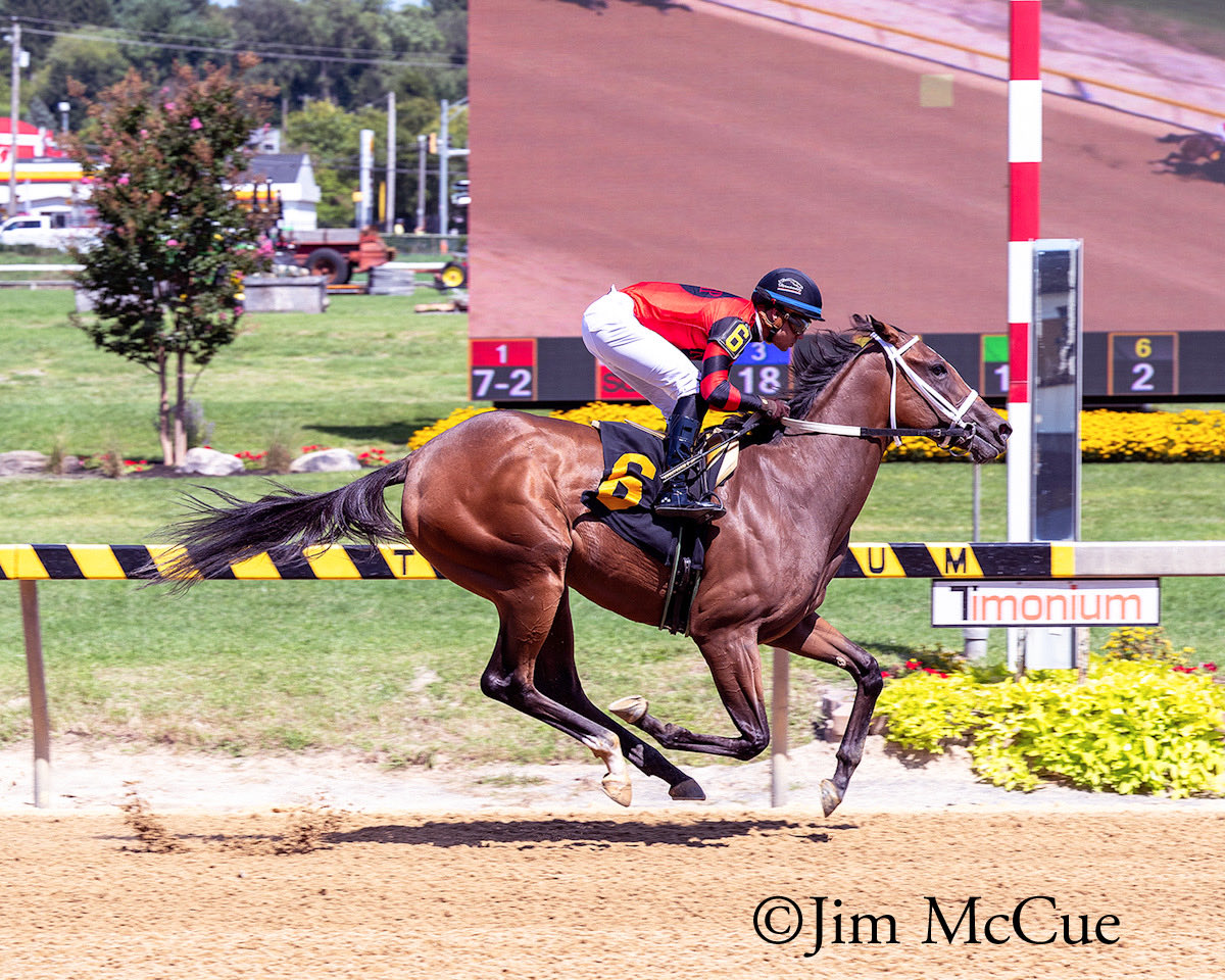 MarylandTB's tweet photo. It is Black-Eyed Susan Day!
Be on the lookout for these #MDBreds at Laurel Park on Friday!
Allaire DuPont Distaff -- Race 10. TOO MANY KISSES:
$100,000 The Very One -- Race 11. MALIBU HOOCH:
$250,000 PIMLICO SPECIAL-G3 -- Race 12. MACLEAN'S ROOK: https://t.co/KNvQ1iHCgs