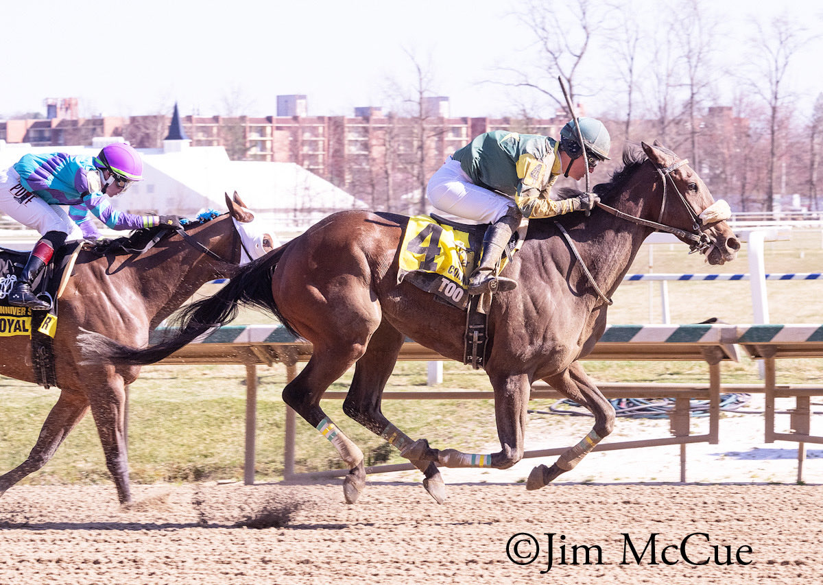 MarylandTB's tweet photo. It is Black-Eyed Susan Day!
Be on the lookout for these #MDBreds at Laurel Park on Friday!
Allaire DuPont Distaff -- Race 10. TOO MANY KISSES:
$100,000 The Very One -- Race 11. MALIBU HOOCH:
$250,000 PIMLICO SPECIAL-G3 -- Race 12. MACLEAN'S ROOK: https://t.co/KNvQ1iHCgs