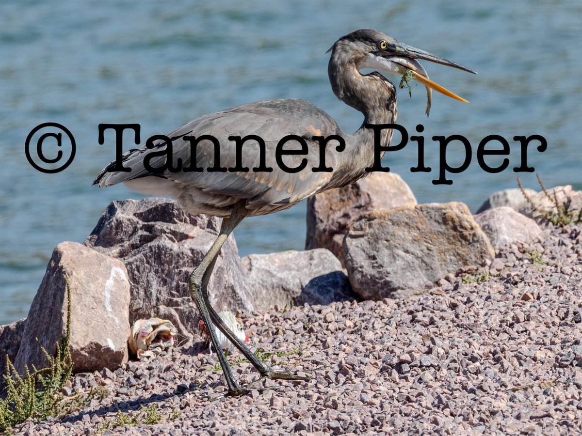 TannerPiper512's tweet photo. Back to cool pictures! https://t.co/CMCchpogt0