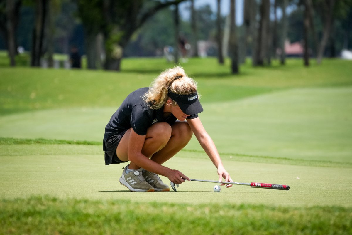 NCAA Division II tweet media