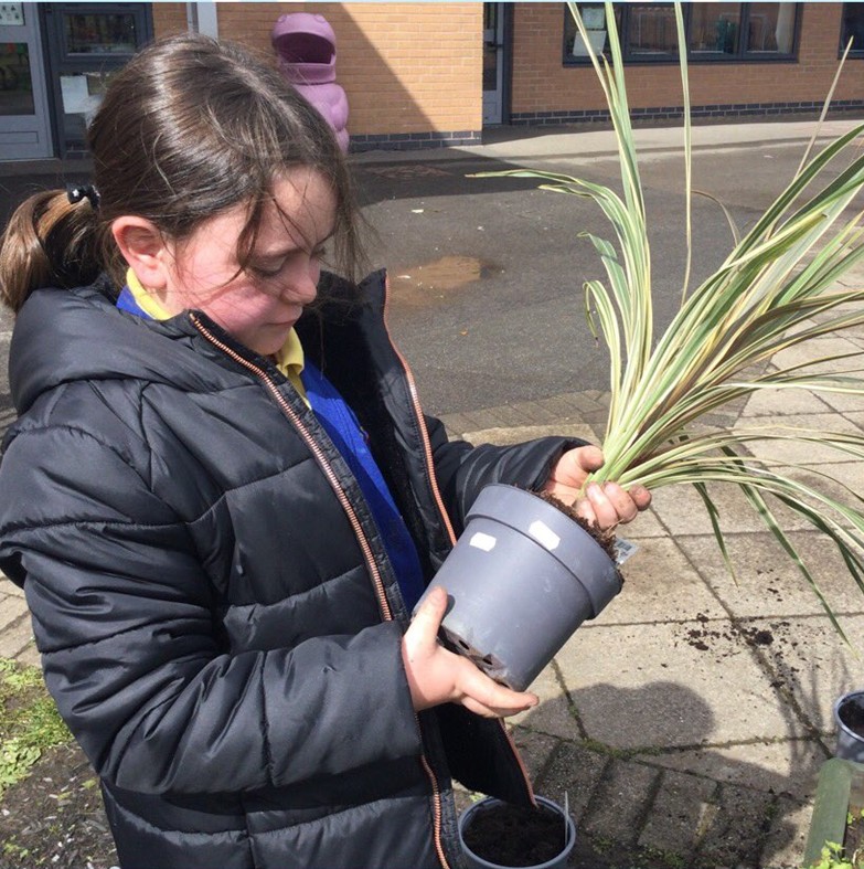 RochdaleCouncil's tweet photo. Thank you to @HollinPrimary for sharing these lovely photos of their wonderful sensory garden taking shape, created with plants from Bowlee Garden Nursery.

Our team at the nursery offered advice on which plants would work best and the children loved getting their hands dirty👏 https://t.co/QIXDNCriYQ