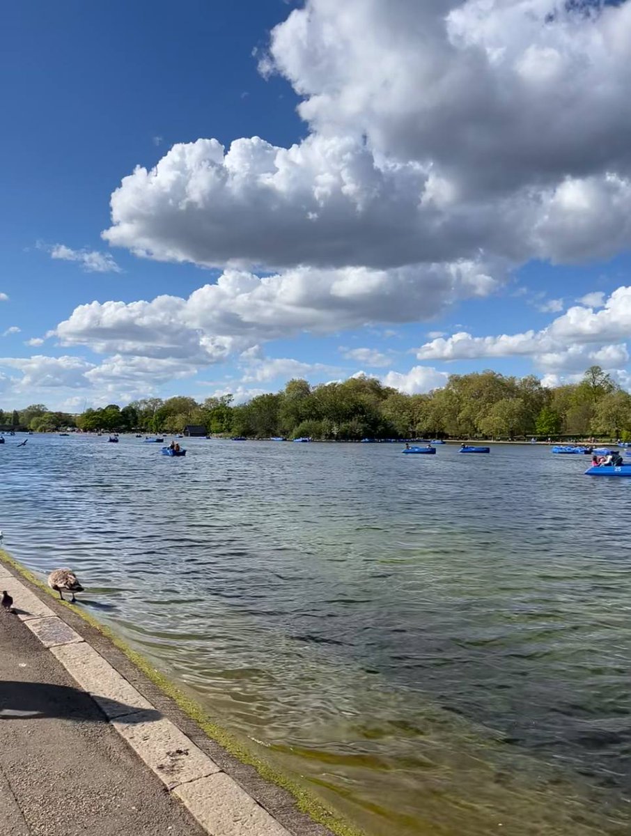 QuintinaDolce's tweet photo. The water in Hyde Park was still icecold, but the important thing was that the air was very fresh https://t.co/cqN016VemK