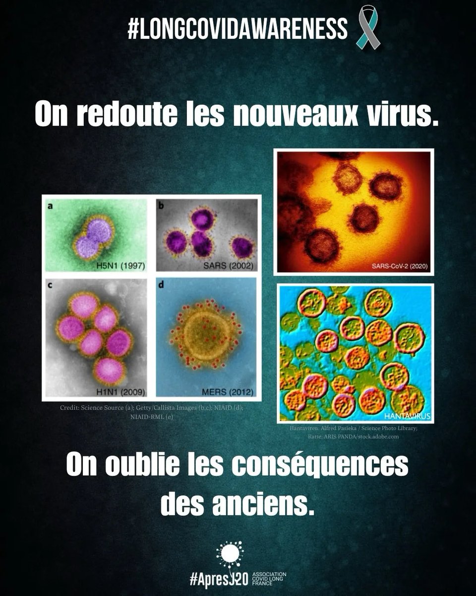 apresj20's tweet photo. 🧵🦠 Le Covid a disparu des discussions.  
👉Mais il n’a pas disparu des vies.

Aujourd’hui, certains s’inquiètent à juste titre de l’hantavirus.  
Pourtant, le Covid continue lui aussi de circuler et de provoquer des formes graves et des #CovidLong

#LongCovidAwareness #ApresJ20 https://t.co/H4Jby2rtT1