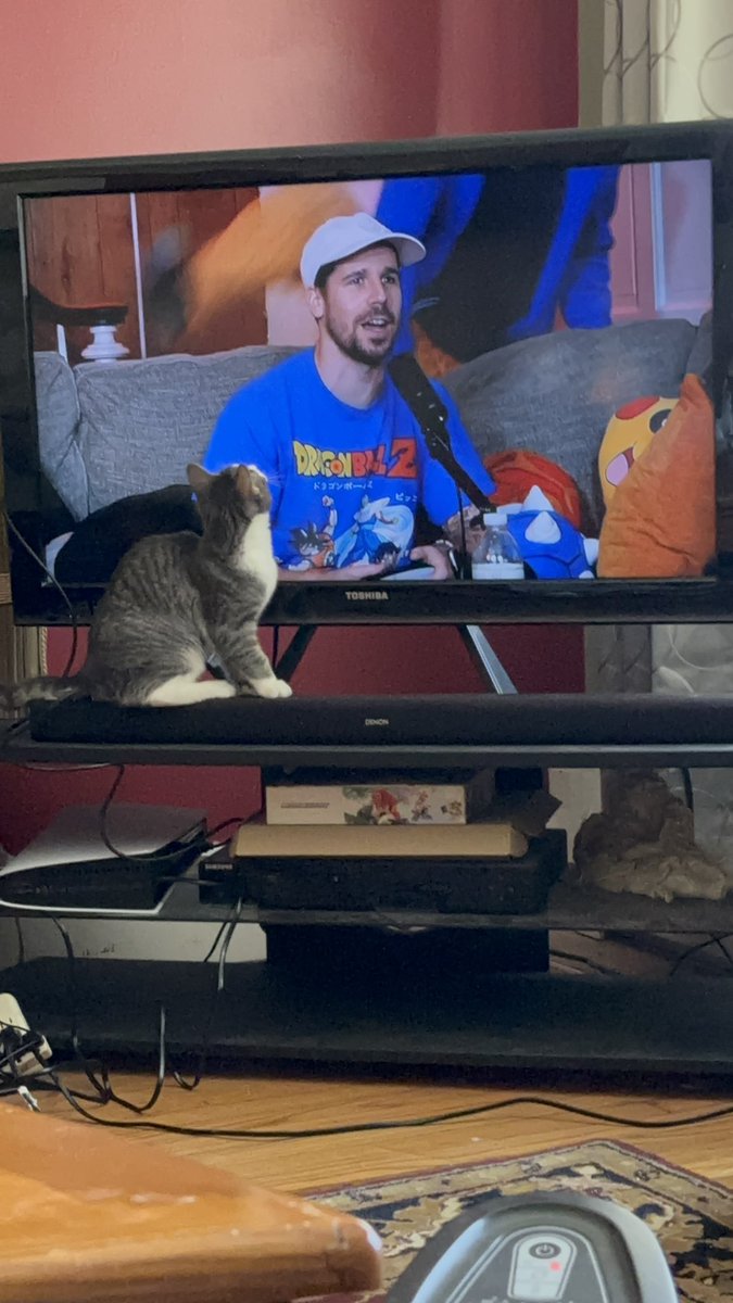MoniArt87's tweet photo. My cat Luci loves you guys🤣 @SidequestCrew @ChoctopusYT https://t.co/myhTFvhSNg