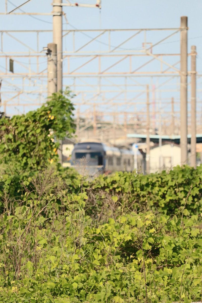 jikko680687's tweet photo. 【今日の787系Vol.4】2026/5/15(Fri)
5012M特急にちりん12号 宮崎空港14:15発 大分行き(大分17:43着)
787系 BM13編成(本ミフ)
※サービスホーンを長く吹鳴します!神運転士さんありがとうございます。🙇
#787系 #BM13 #南福岡車両区 #日豊本線 #大在駅 #坂ノ市駅 https://t.co/pbPmdKAk0v