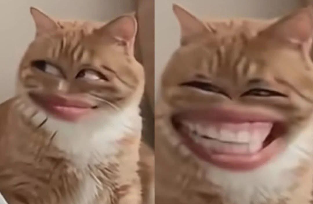mochi (@mochi72408283) / Posts / X
