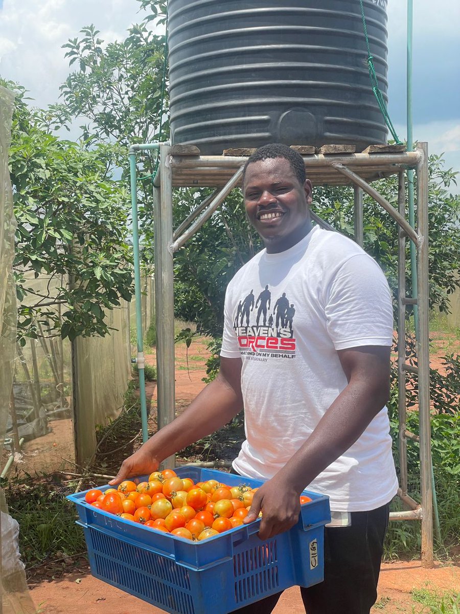 NathanielEdjeba's tweet photo. After the work comes the harvest... Shoutout to all farmers https://t.co/SWEWMpGVp2