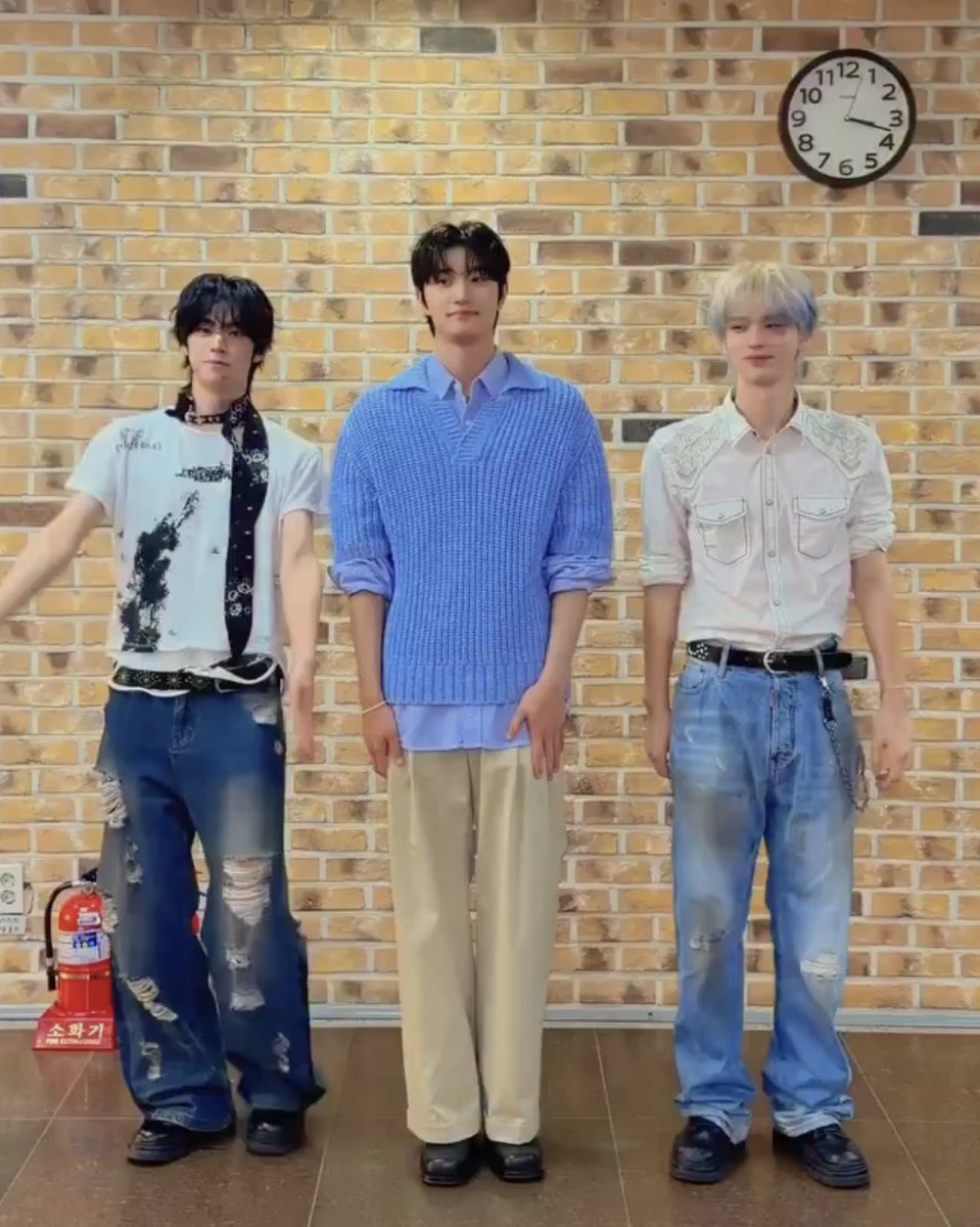 barkbyday's tweet photo. 거대강아지다 https://t.co/gNT5pXU1yA