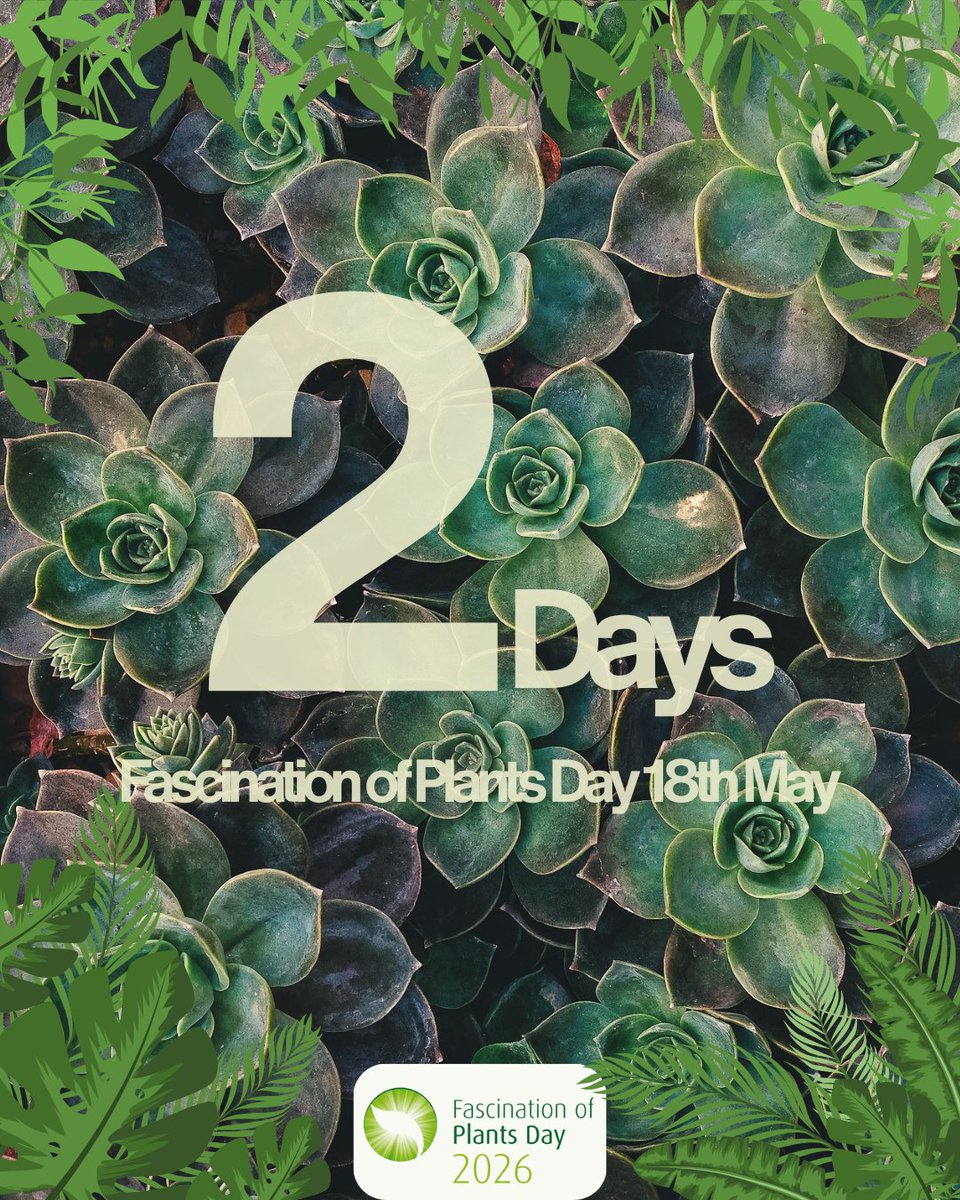 Only 2 days left until Fascination of Plants Day 2026! The global  celebration of plants is getting closer  Plants connect science,  biodiversity, food and our future  Fascination of #PlantsDay2026