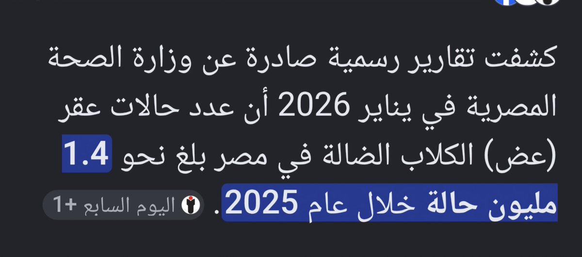 Elsyed tweet media