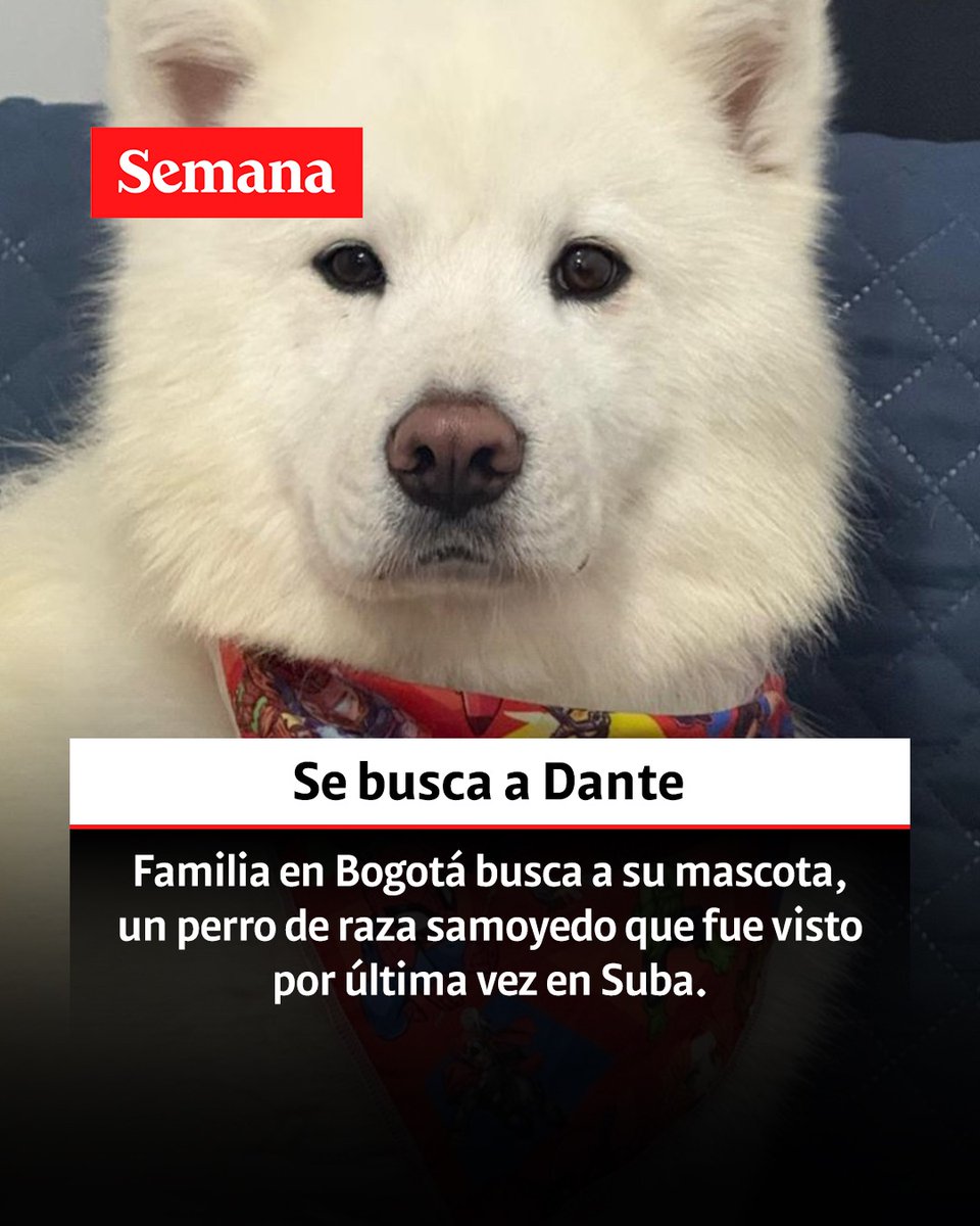 Revista Semana tweet media