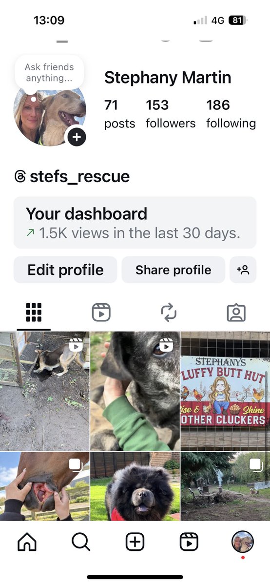 stefsrescue's tweet photo. It’s rare that I get on here these days, I rarely see any of my friends. It’s gone to pot 😂
This is my Instagram if anyone would prefer to follow me there! https://t.co/OXLEFc5Cge