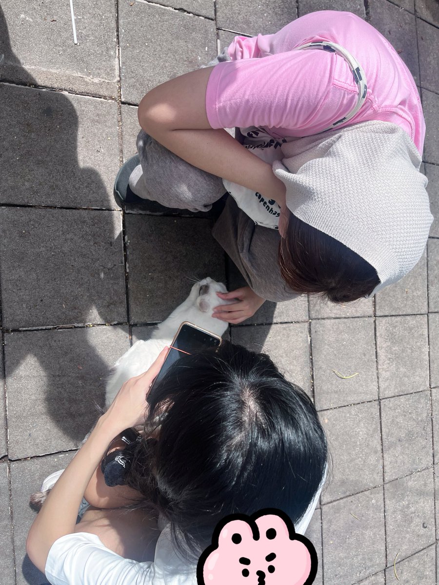 Ploy Dream:0n 「プロイ」 tweet media