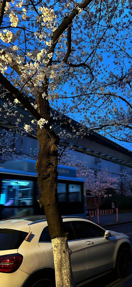 AmandaR1017's tweet photo. 南京江宁 建邺区 #南京
Ⅴ: v w88991   Q: 395 154 7562 https://t.co/I0L5A11WcR